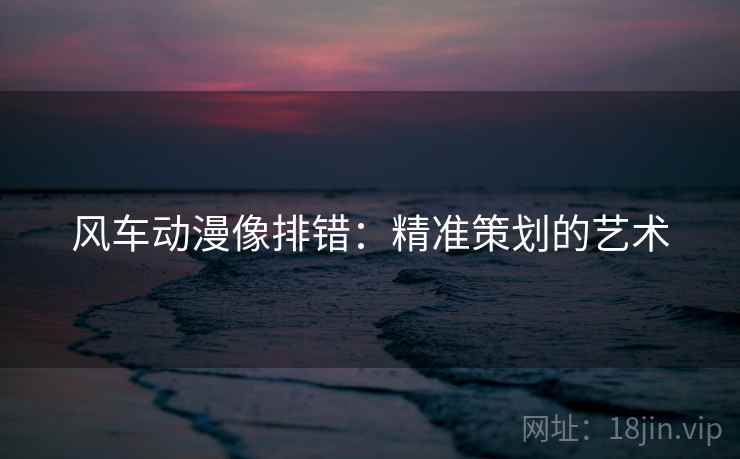 风车动漫像排错：精准策划的艺术