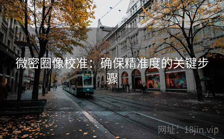微密圈像校准：确保精准度的关键步骤